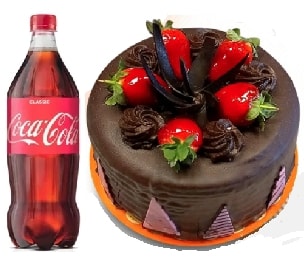 4-6 Kişilik Çikolatalı Pasta Lezzet Isparta pasta